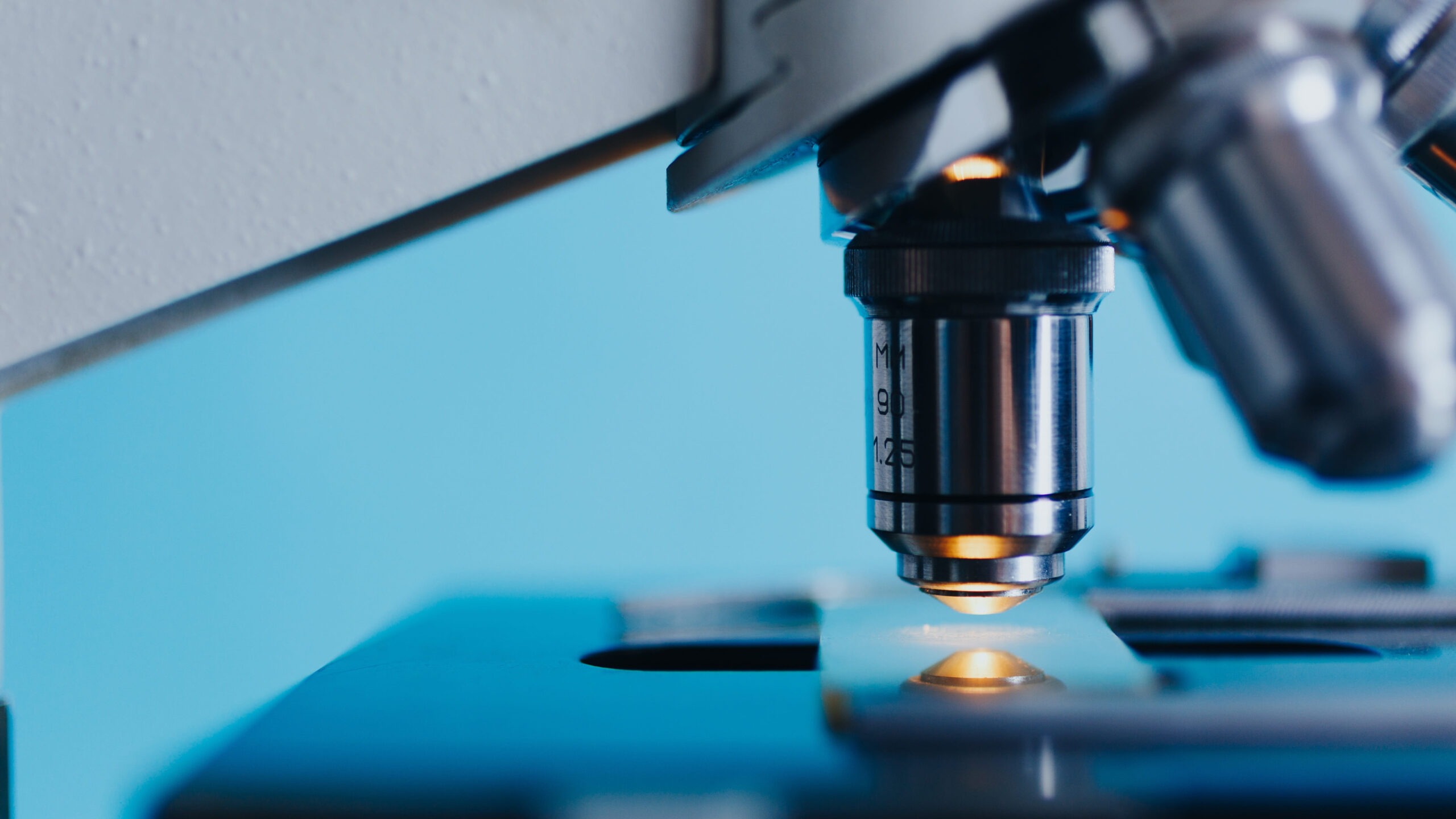 What’s next for ancient DNA studies after Nobel Prize honors ...