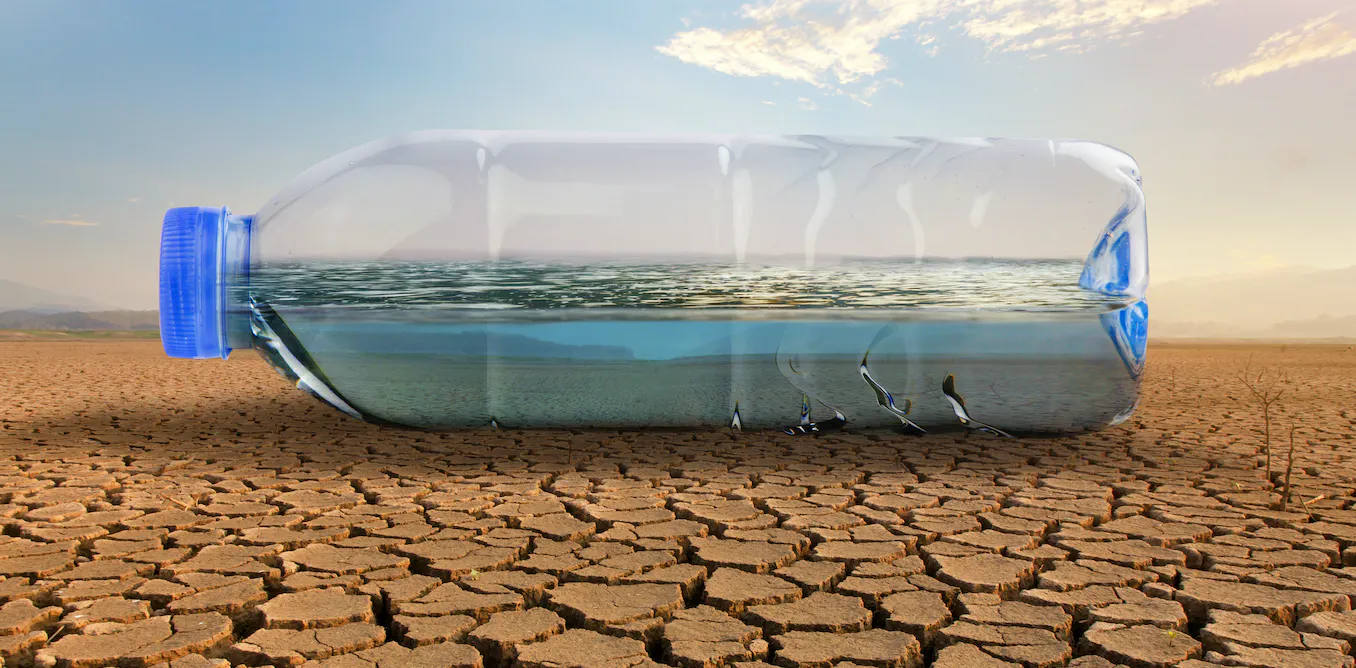How the bottled water industry is masking the global water crisis The14