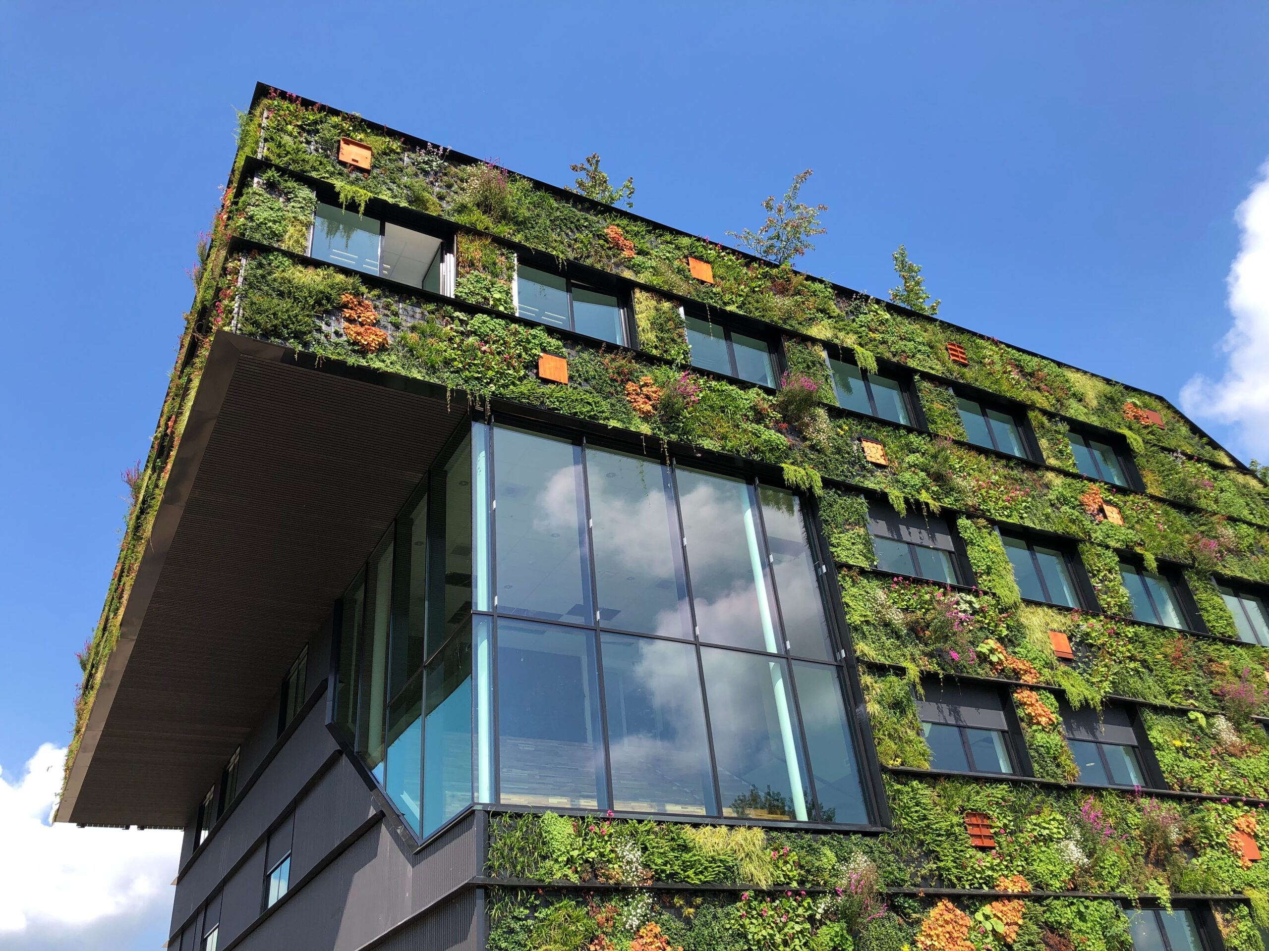 Where Are Some of the World’s Most Sustainable Cities? | The-14