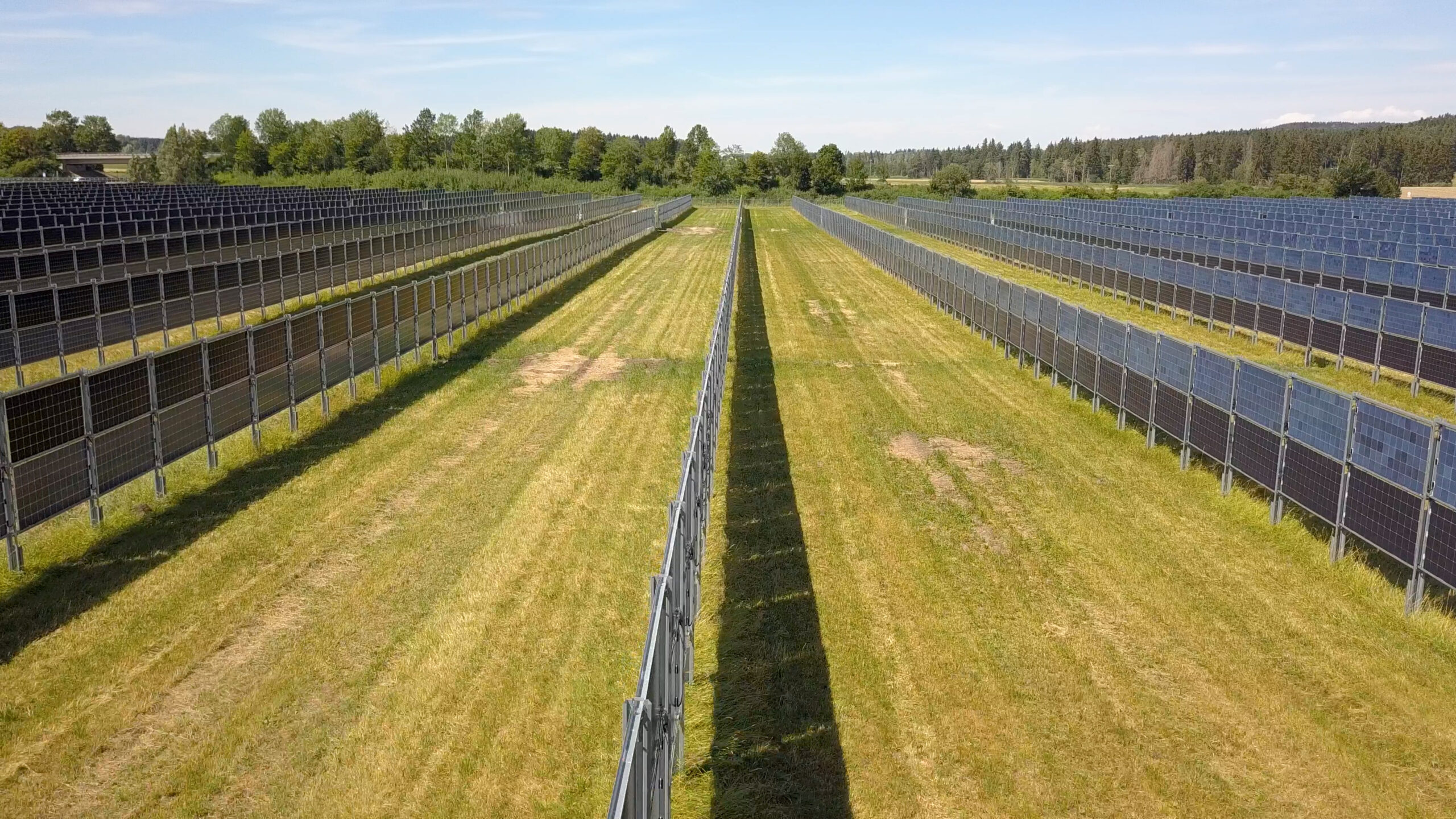 Mixed-use solar and agricultural land is the silver bullet Alberta’s ...