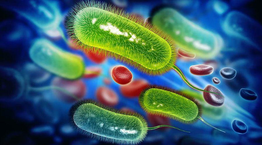 A common stomach infection may be linked to bowel cancer – here’s what we know | The-14